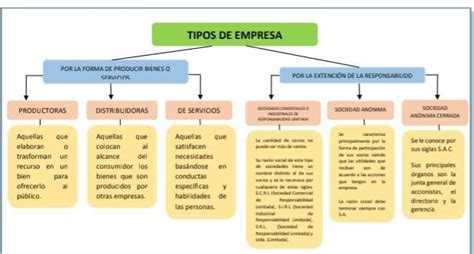 Elabora Un Cuadro Sin Ptico Acerca De Los Tipos De Empresas Seg N Su