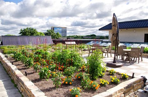 Green Roofs Get Smart Innovative Irrigation Systems For Sustainable