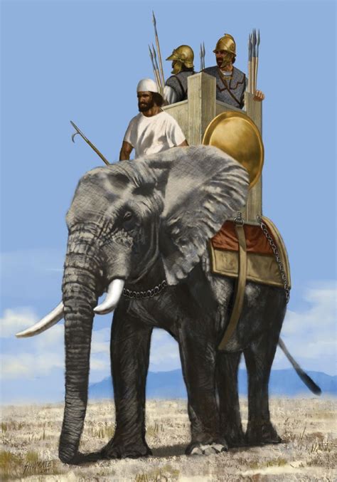 Historically Accurate Chainmail Bikini D Page 18 Paradox Interactive Forums