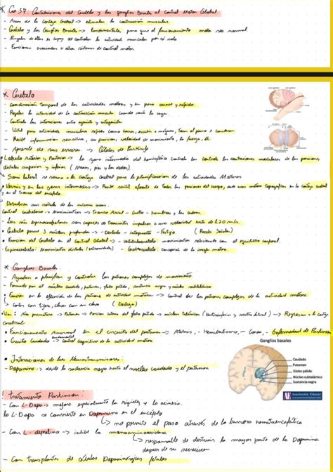 Resumen Del Cap 57 Guyton Res Academy