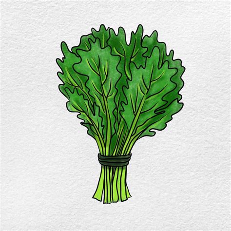 How To Draw Kale Helloartsy