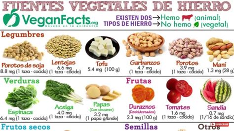 Fuentes De Hierro Vegetales Vegan Amino