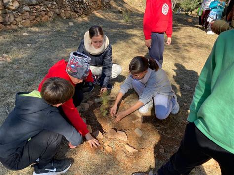 Dia de larbre CEIP DOMÍNGUEZ ROCA