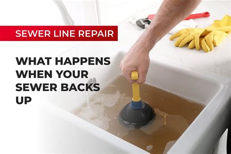 Prevent Sewer Backups Expert Tips Mesa Plumbing