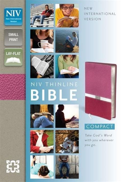 Thinline Bible Niv Compact Von Zondervan B Cher Orell F Ssli