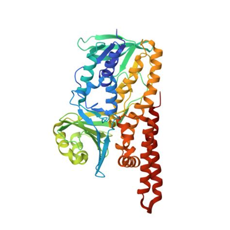 RCSB PDB - 6C6P: Human squalene epoxidase (SQLE, squalene monooxygenase ...