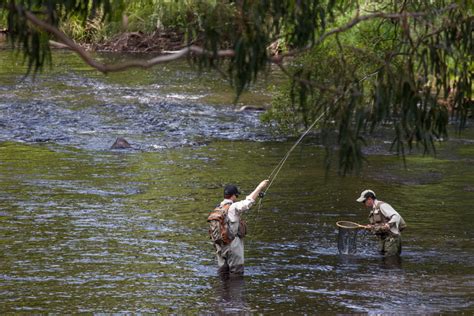 Gallery - Images of Warburton Holiday Park in Warbunton, Vic