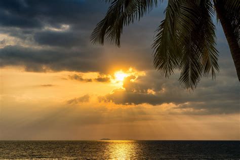 Background Beach Beautiful Clouds Coconut Trees Dawn Dusk Exotic