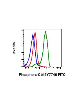 Phospho C Cbl Tyr774 R3B8 Rabbit MAb FITC Conjugate Abwiz Bio