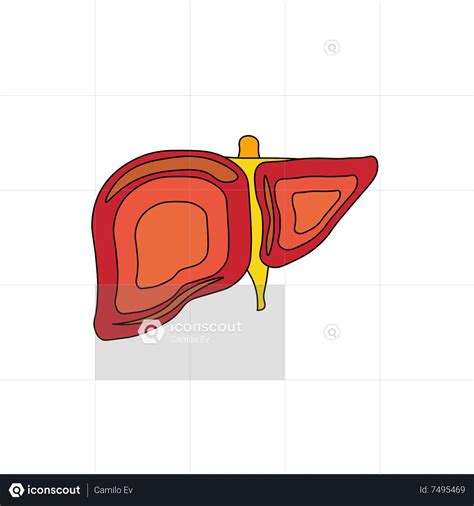 Liver Animated Icon download in JSON, LOTTIE or MP4 format