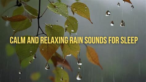 Minutes Of Rain Sounds White Noise To Help You Fall Asleep Youtube