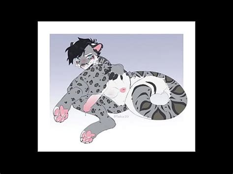 Gay Furry Porn Compilation Feline Edition XVIDEOS
