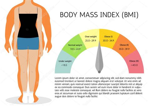 Ndice De Masa Corporal O Imc Infograf A Chart Vector Ilustraci N The