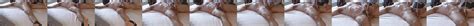 Balls Tied Free Gay BDSM Ties Porn Video XHamster XHamster