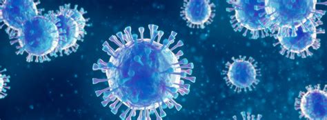 The truth about germs and how to avoid them | NYP 