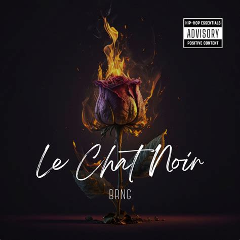 Le Chat Noir Single By Brng Spotify