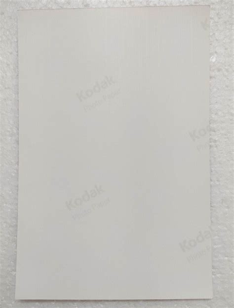 French Woman Model Posing Nude Naked 1920s Postcard Photo Reprint Risqué Art eBay