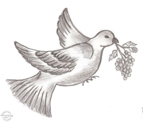 Pencil Sketches Of Birds At PaintingValley Explore Collection Of