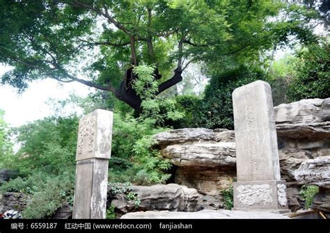 北京景山公园崇祯皇帝自缢处高清图片下载红动中国