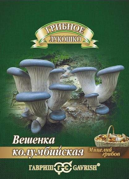 Купить мицелий грибов для выращивания – доставка почтой, СДЭК
