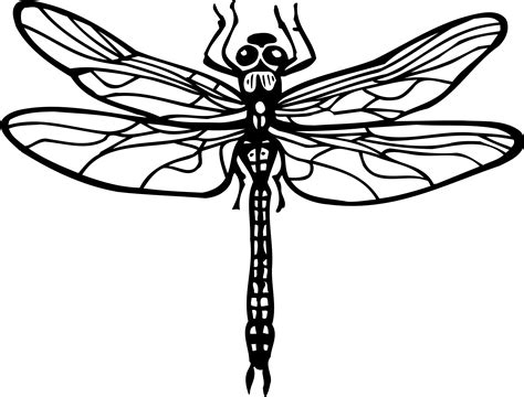 Zentangle Dragonfly Coloring Pages Coloring Pages