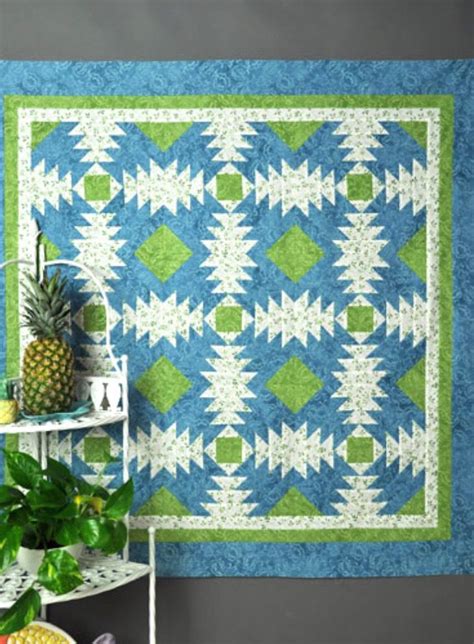 Hen Feather's Pineapple Quilt | Pineapple quilt, Pineapple quilt ...