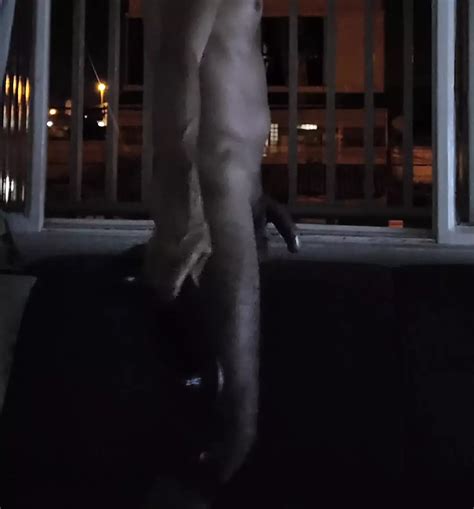 Showing My Dick To The Neighbors Gay Amateur Porn Feat Lion Prince By Onnowplay Xhamster