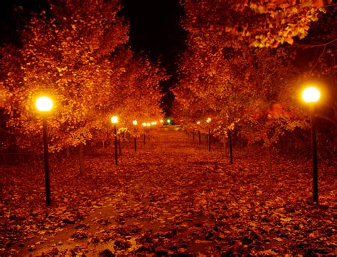 Autumn Night by RENCG on DeviantArt