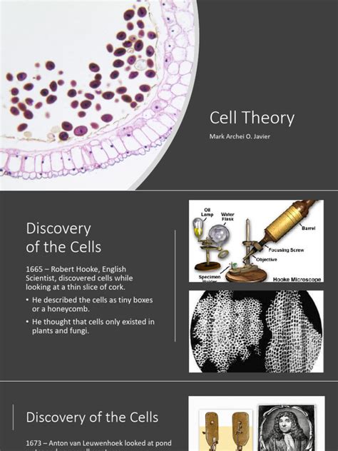 Cell Theory | PDF