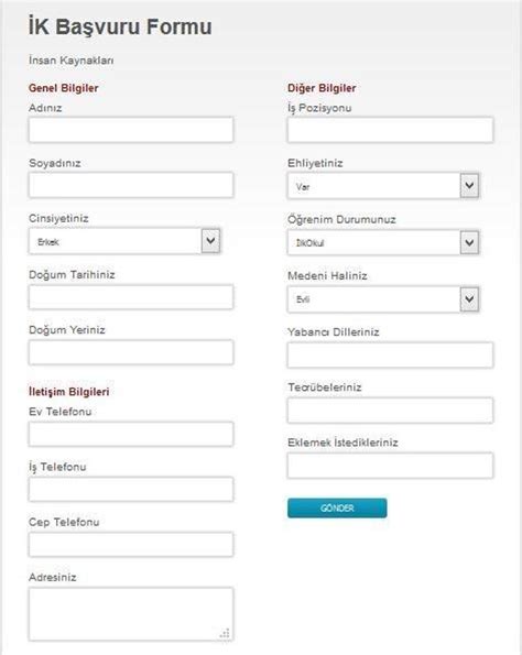 İş Başvuru Ve Bilgi Formu Örneği 2024 Word Ve Pdf Formatında Yaşam Haberleri
