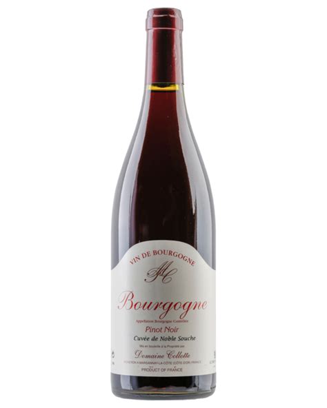 Fr D Ric Magnien Bourgogne Pinot Noir Wine Vybe