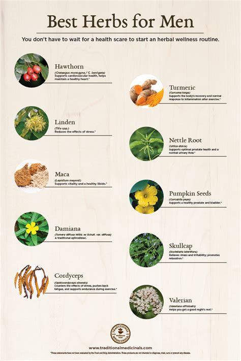 Best Herbs For Men 10 Herbs For Male Health And Wellness Get To Know Them On Our Plant Power