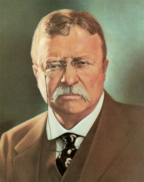 Art Prints Of Theodore Roosevelt Presidential Portraits