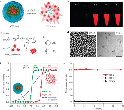 Synthesis And Characterization Of UPS Nanoprobes A Structural