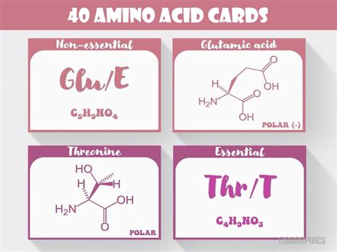 Organic Chemistry Flashcards Printable Chemistry Flashcards Amino