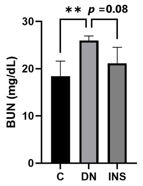 Elevated Plasma Bun Level In Two Moderate Dose Stz Induced Dn Model Was