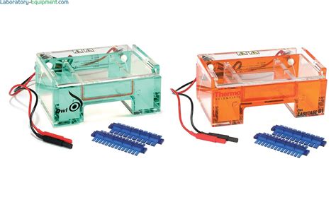 Gel Electrophoresis Systems Reagents Stains And Dyes