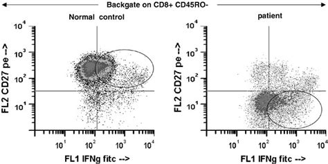 Representative Flow Cytometry Dot Plot Demonstrating Expression Of