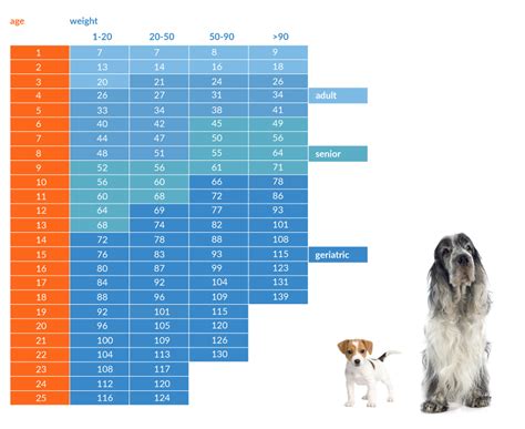 how to know dog's age