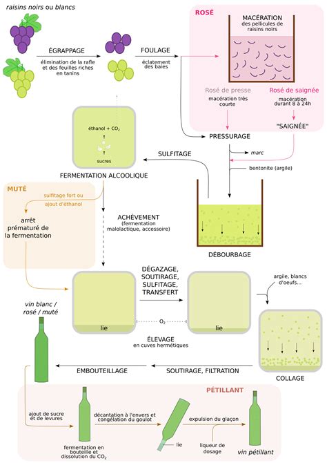 Spécificité des étapes de fabrications des vins rosés mutés et