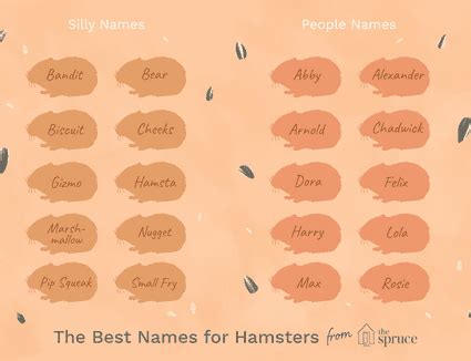 Fun And Creative Name Ideas For Pet Mice