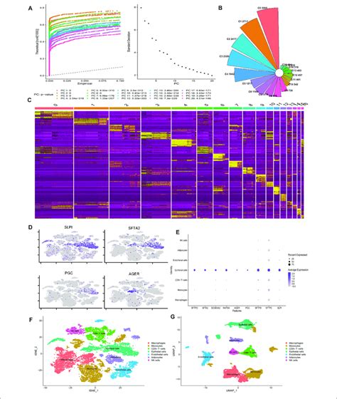 Scrna Seq Reveals The Cell Populations Of The Human Lung A