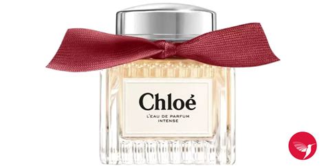 Chloé Leau De Parfum Intense 2024 Chloé Perfume A Novo Fragrância