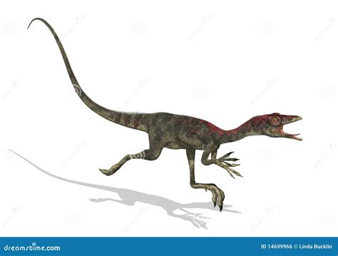 Funcionamiento Del Dinosaurio De Compsognathus Stock De Ilustración Ilustración De Criatura