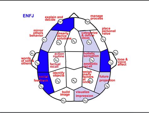 Expressing Your Truth Blog Neuroscience Of Personality And Anger