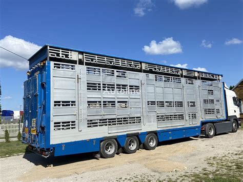 Pezzaioli SBA32E1 Livestock Semi Trailer For Sale Poland B Stok EB38249