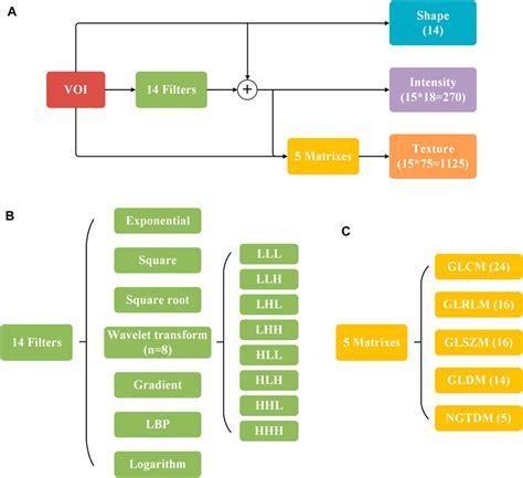 Frontiers Prediction Of Egfr Mutation Status In Nonsmall Cell Lung