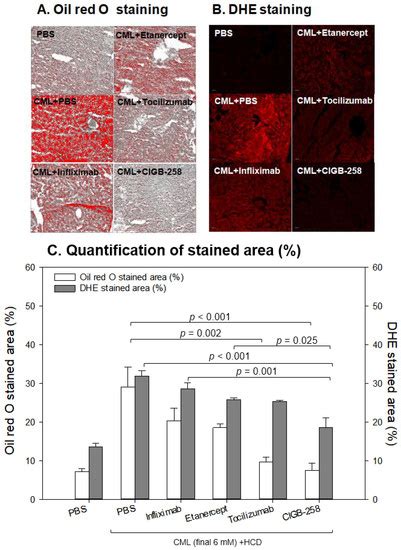 Ijms Free Full Text Cigb 258 Exerts Potent Anti Inflammatory