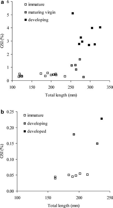 Plot Of Gonadosomatic Index GSI In Relation To Fish Size And Stage Of