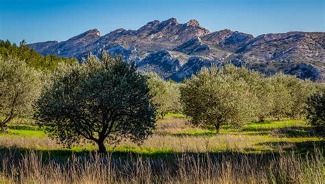 Explore The Alpilles Alpilles En Provence